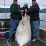 3 men holding a 244 pound halibut in Alaska