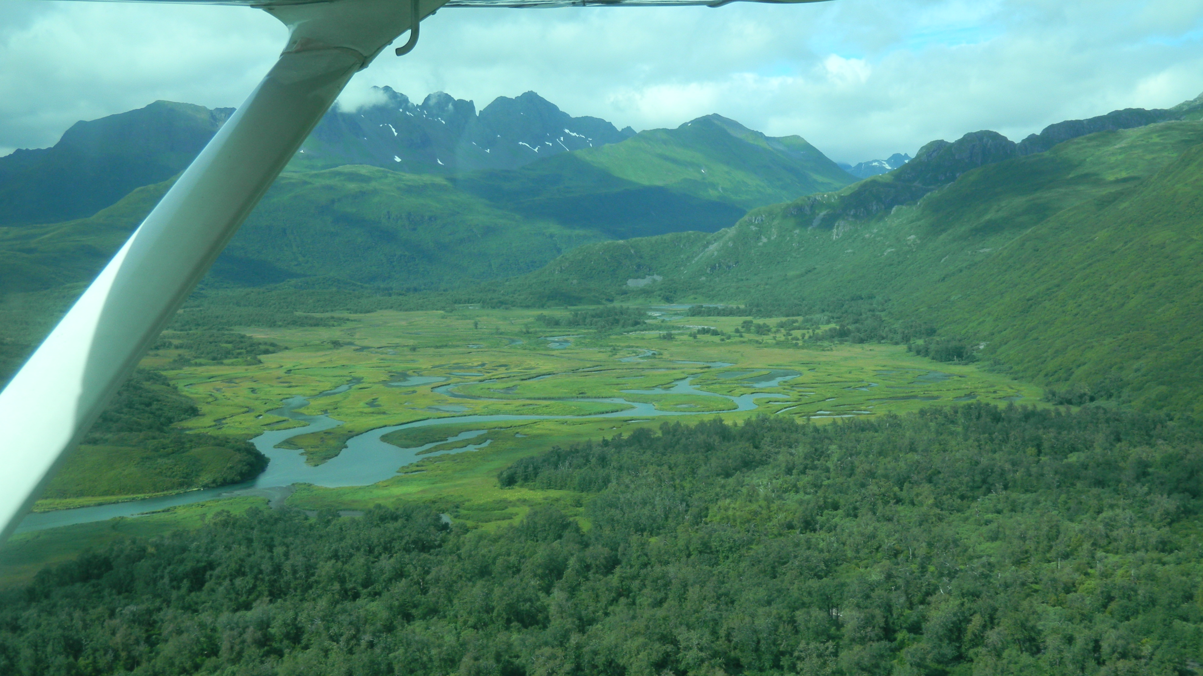 This beautiful, lush Kodiak Alaska landscape shows rivers that are ripe for fishing of Alaskan salmon and dolly varden.