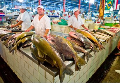 amazon-fishing-trips-market