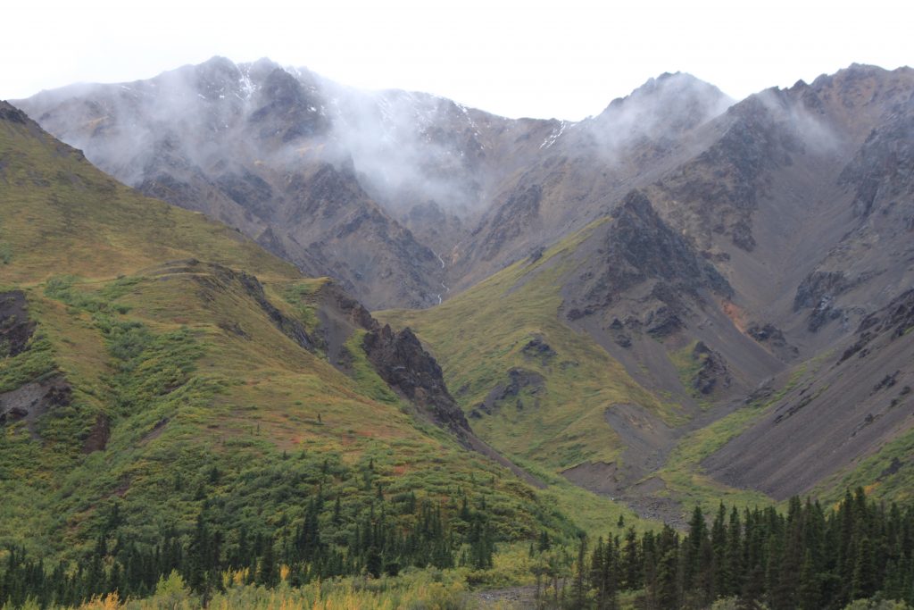 Denali National Park ravine