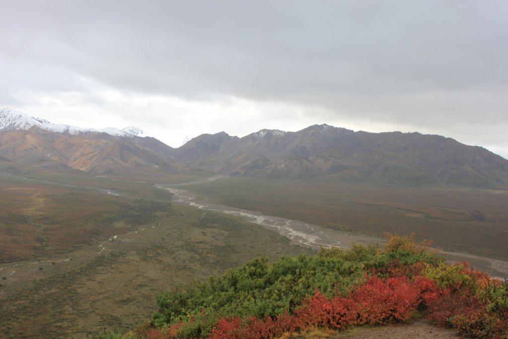 Denali National Park river