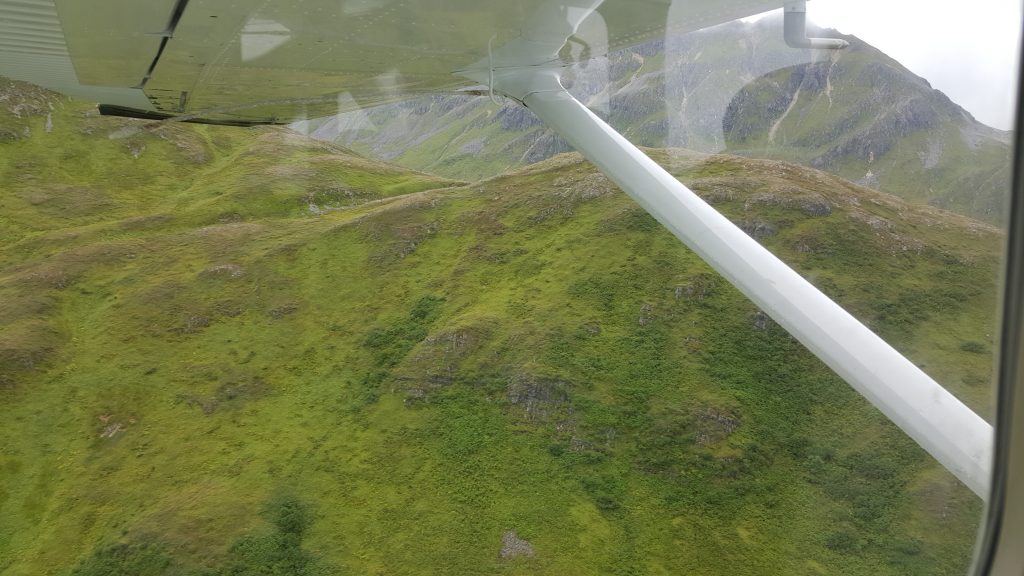 Kodiak Brown Bear trip plane view