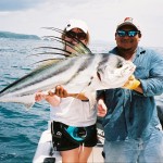 Roosterfish - Panama