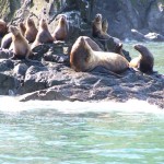 Luxurious Fishing Vacations in Alaska
