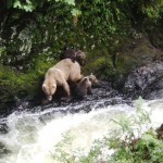Luxurious Fishing Vacations in Alaska