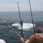 Luxurious Fishing Vacations Sailfishing